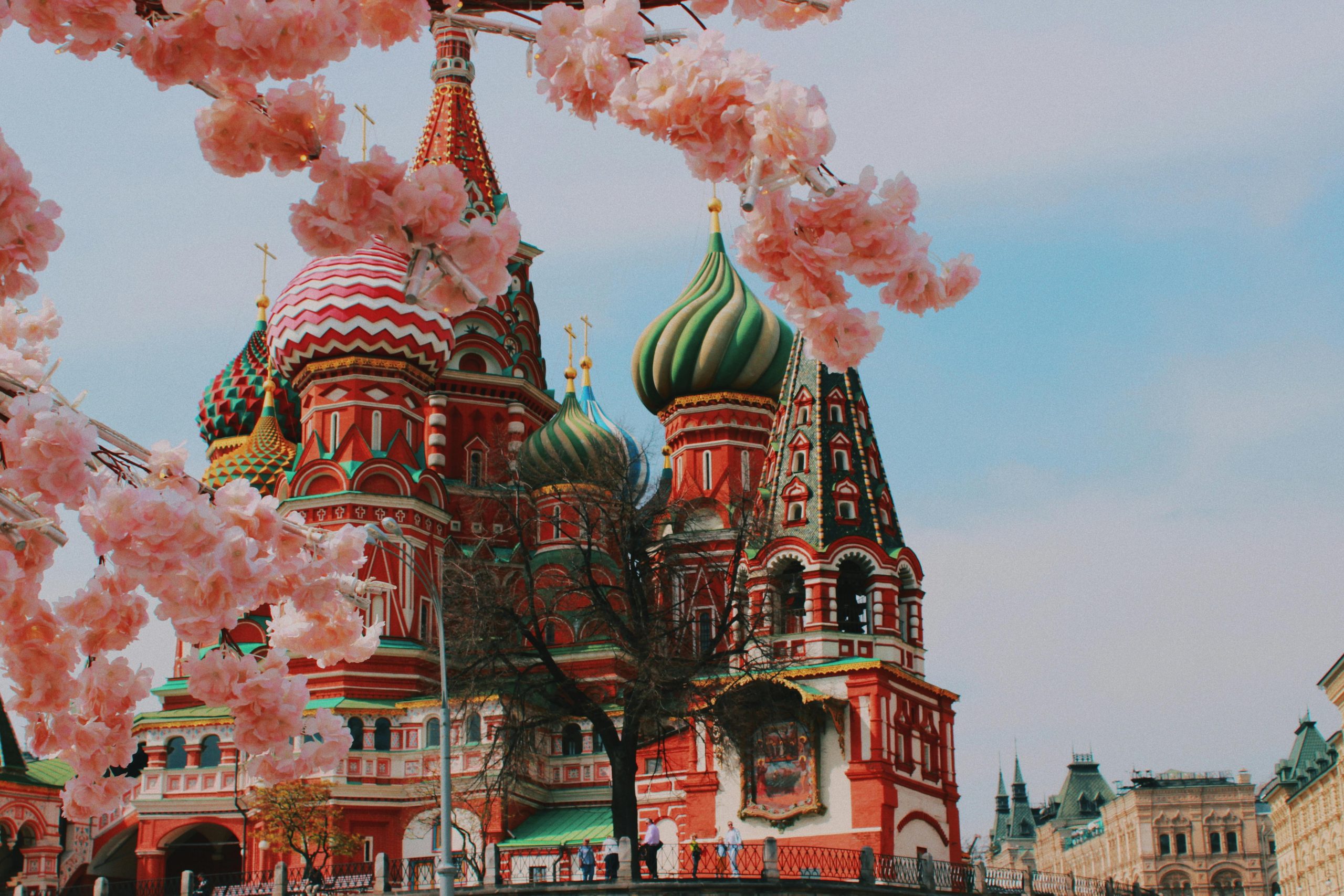 Saint Basil's Cathedral in Moscow framed by cherry blossoms, showcasing vibrant Russian architecture.